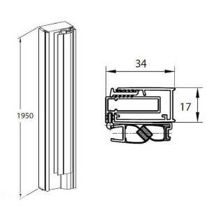 Profil ścienny z magnetyczną uszczelką, Roca Capital, do wnęki, 195cm