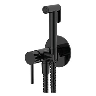 Zestaw bidetowy punktowy Omnires Y, podtynkowy, 1-funkcyjny, złoty