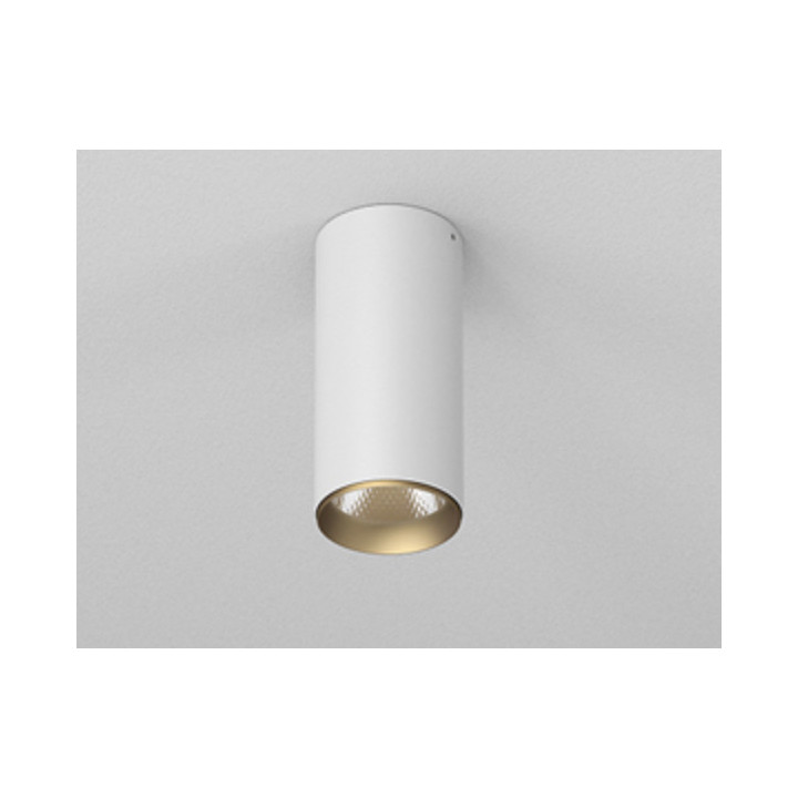 Oprawa natynkowa LED AQForm PET next, 20cm, 3000K, biały/złoty strukturalny