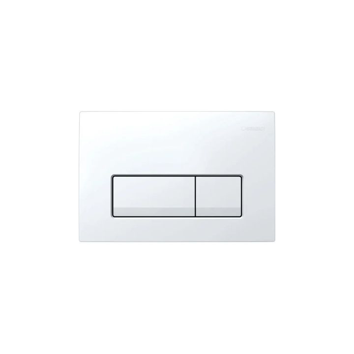 Przycisk spłukujący Geberit Delta20 - chrom matowy