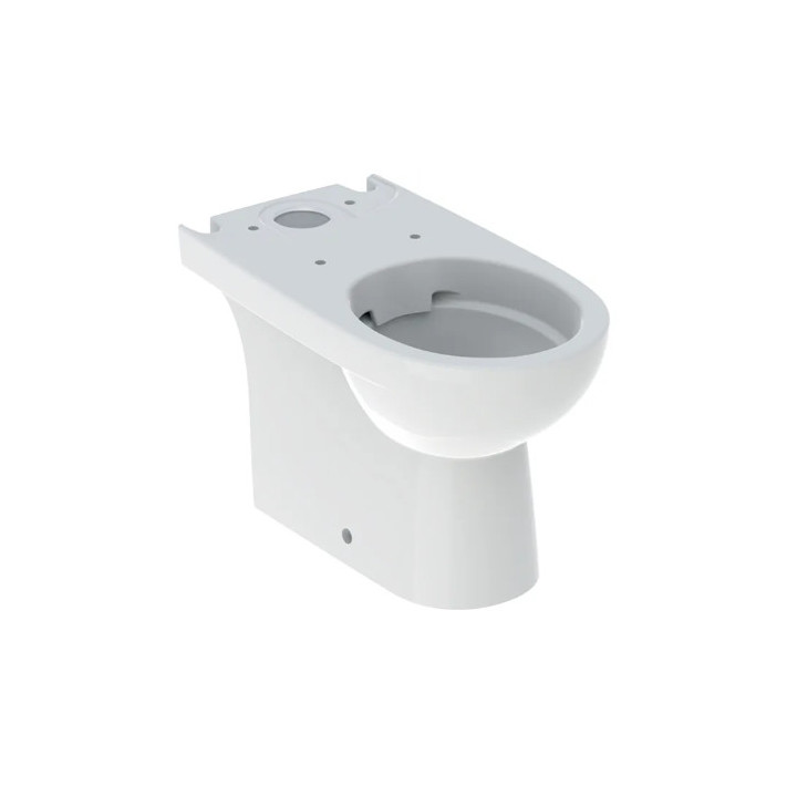 Geberit Selnova Stojąca miska WC do spłuczki nasadzanej, lejowa, B35.5cm, H40cm, T66cm, częściowo ukryte mocowania, odpływ uniwe