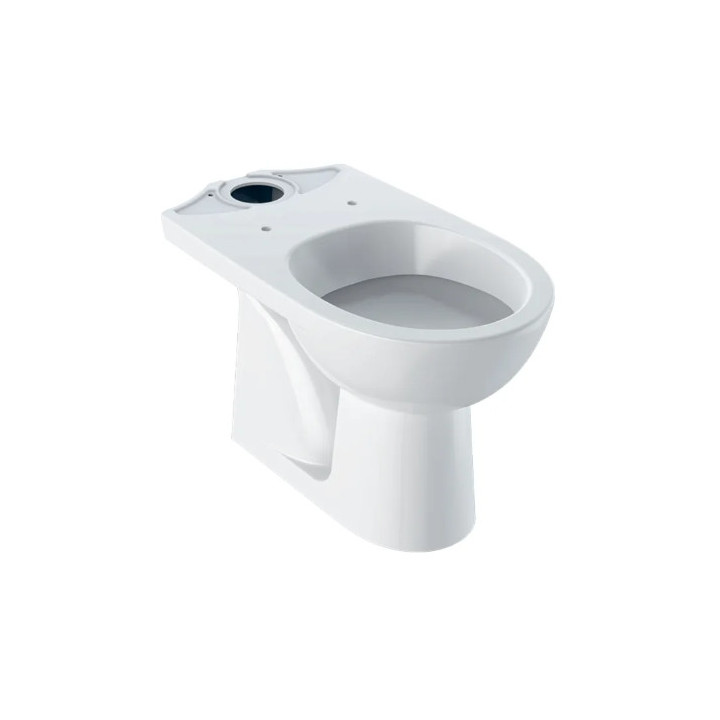 Geberit Selnova Stojąca miska WC do spłuczki nasadzanej, lejowa, B36cm, H39cm, T67cm, odpływ pionowy