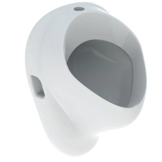 Geberit Felix Pisuar, B35cm, H56cm, T35.5cm, dopływ u góry, odpływ do tyłu lub w dół