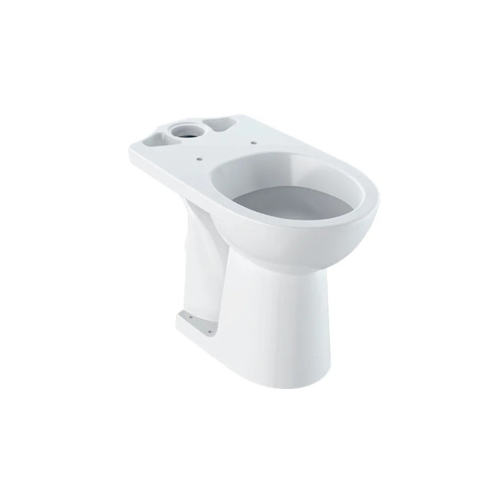 Geberit Selnova Comfort Stojąca miska WC do spłuczki nasadzanej, lejowa, 36x46x67cm, podwyższona, odpływ poziomy