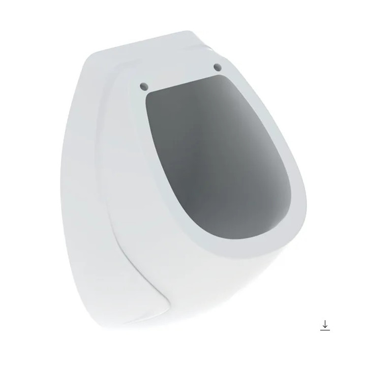 Pisuar Geberit Flow,dopływ z tyłu, odpływ do tyłu, biała