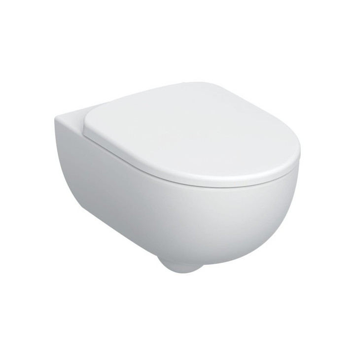 Geberit Selnova Wisząca miska WC, lejowa, 35.8x53cm