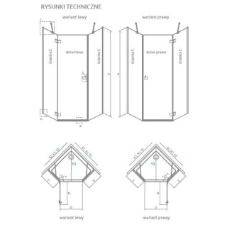 100x100 drzwi lewe, szkło przejrzyste, Radaway ESSENZA PTJ - Chrom