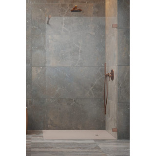 Kabina prysznicowa Radaway Essenza Pro 8 Gold Walk-in 120, szkło przejrzyste, profil złoty